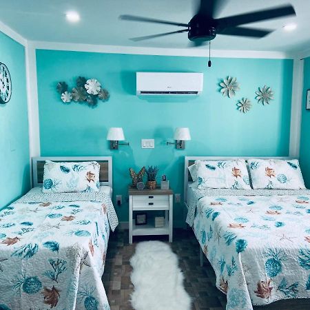 Beautiful And Comfortable Rom Apt # 2 坦帕 外观 照片